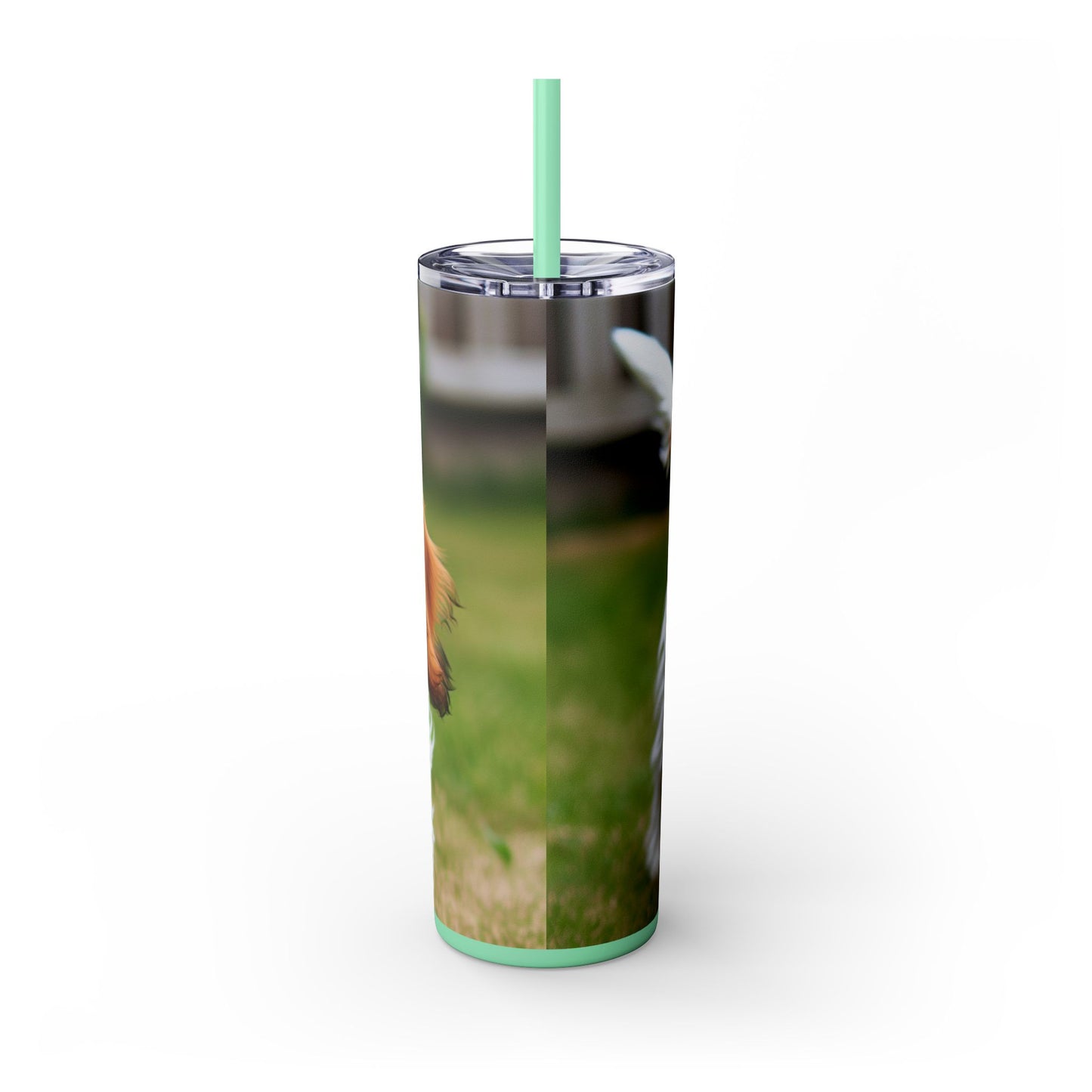 Petit Basset Griffon Vendeen Skinny Tumbler with Straw, 20oz