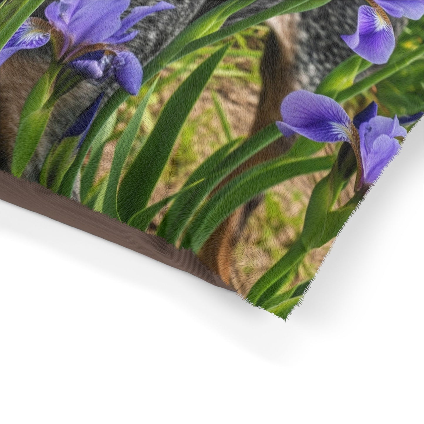 Bluetick Coonhound Pet Bed