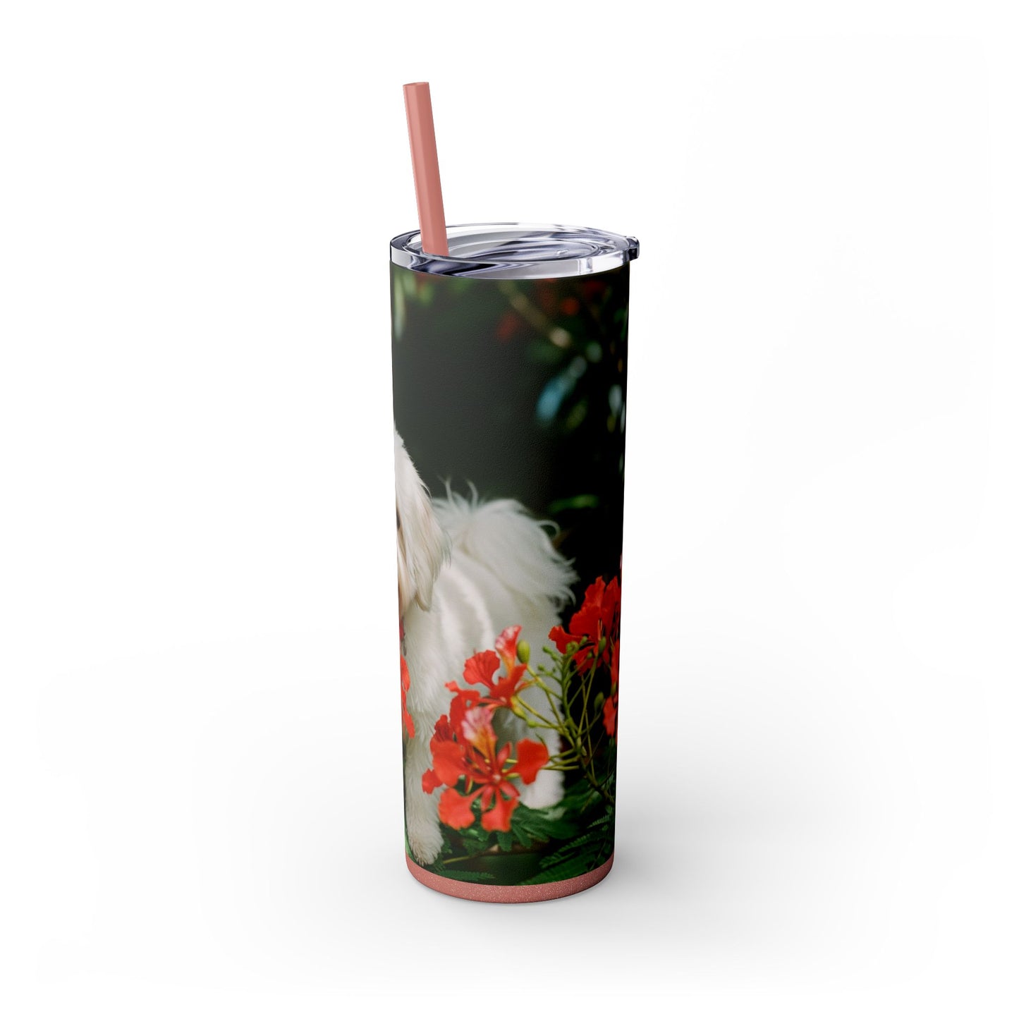 Gobelet Coton de Tuléar avec paille, 590 ml