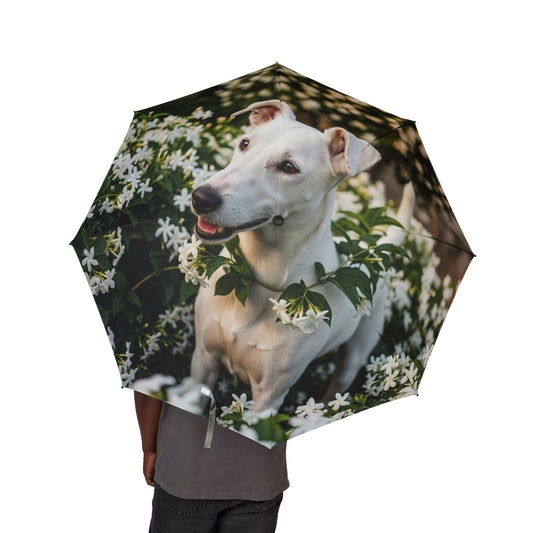 Gull Terrier Semi-Automatic Foldable Umbrella