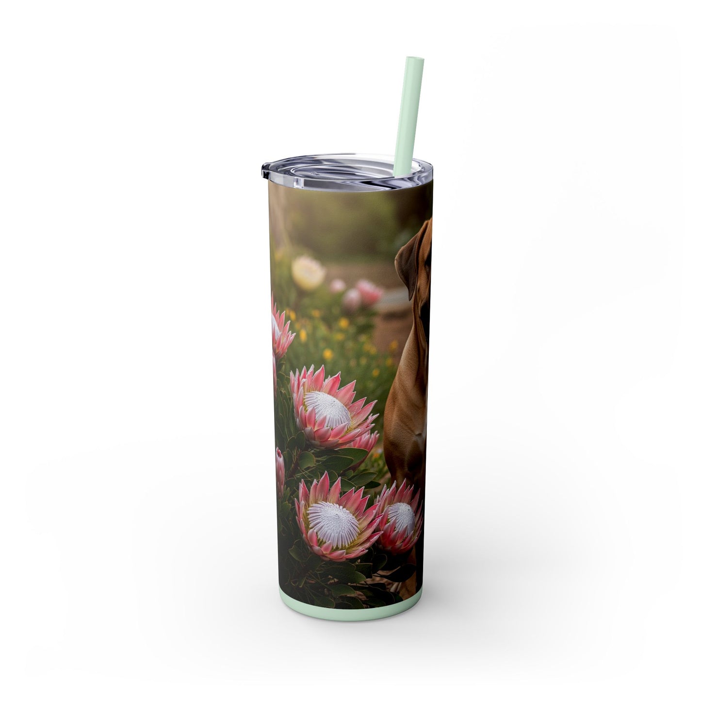 Boerboels Tumbler with Straw, 20oz