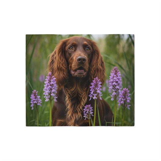 Pont-Audemer Spaniel Sweatshirt Blanket