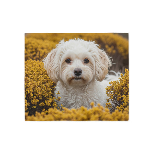 Maltipoo Sweatshirt Blanket