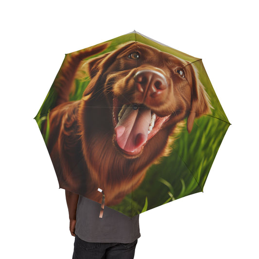 Chesapeake Bay Retriever Semi-Automatic Foldable Umbrella