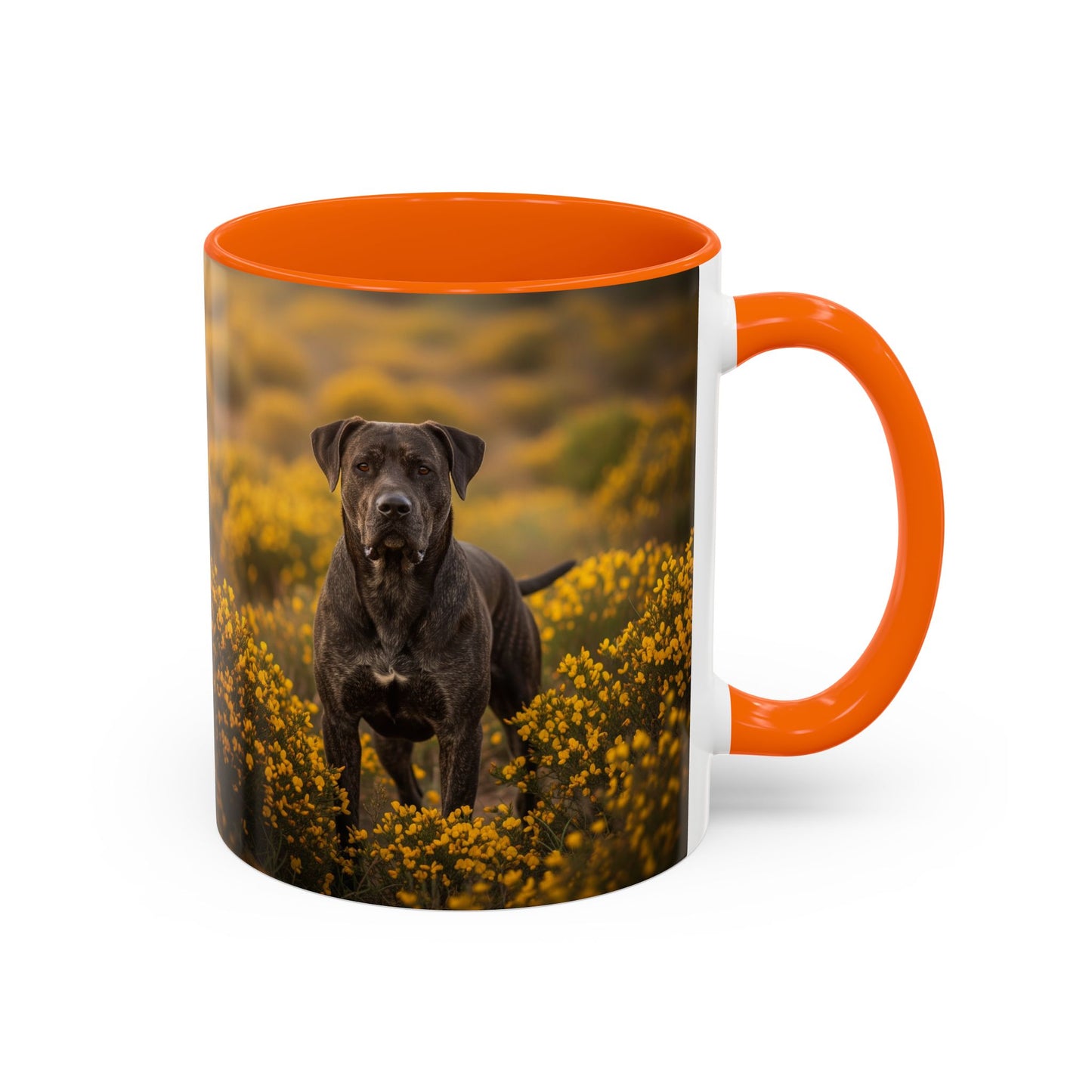 Mug Rafeiro do Alentejo Accent Coffee - Cadeau idéal pour les amoureux des chiens