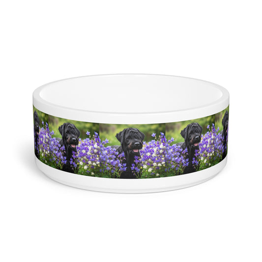 Black Russian Terrier Pet Bowl