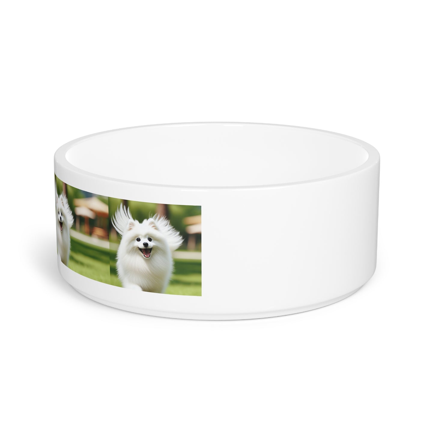 Japanese Spitz Pet Bowl