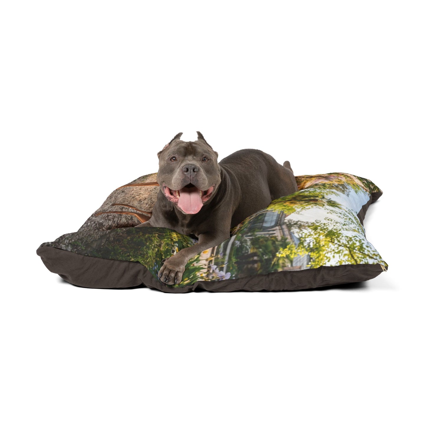 Cirneco dell'Etna Pet Bed