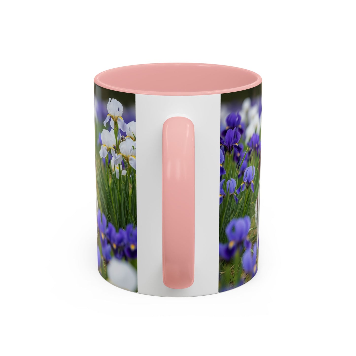 Mug Stabyhouns Accent - Cadeau idéal pour les amoureux des chiens