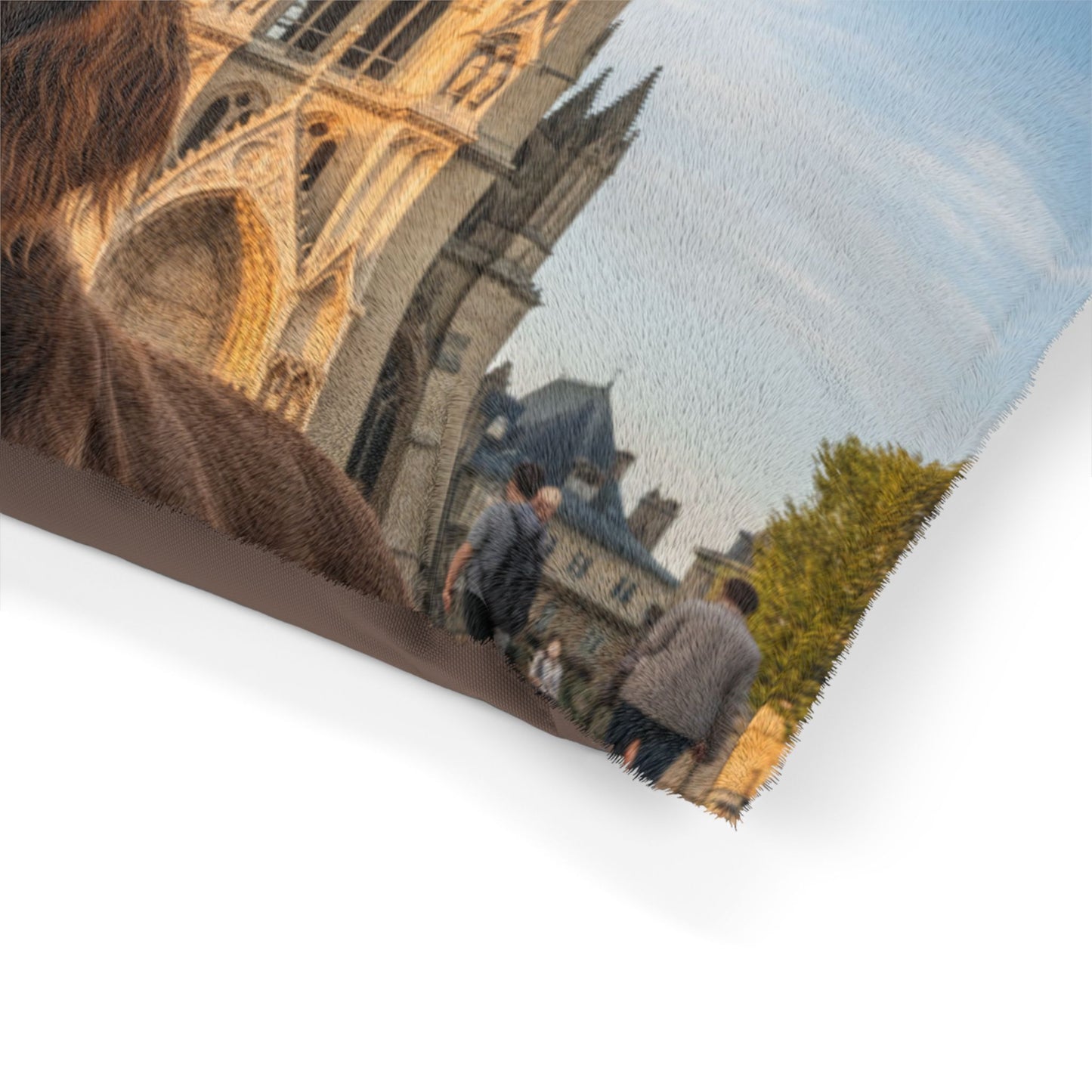Pont-Audemer Spaniel Pet Bed