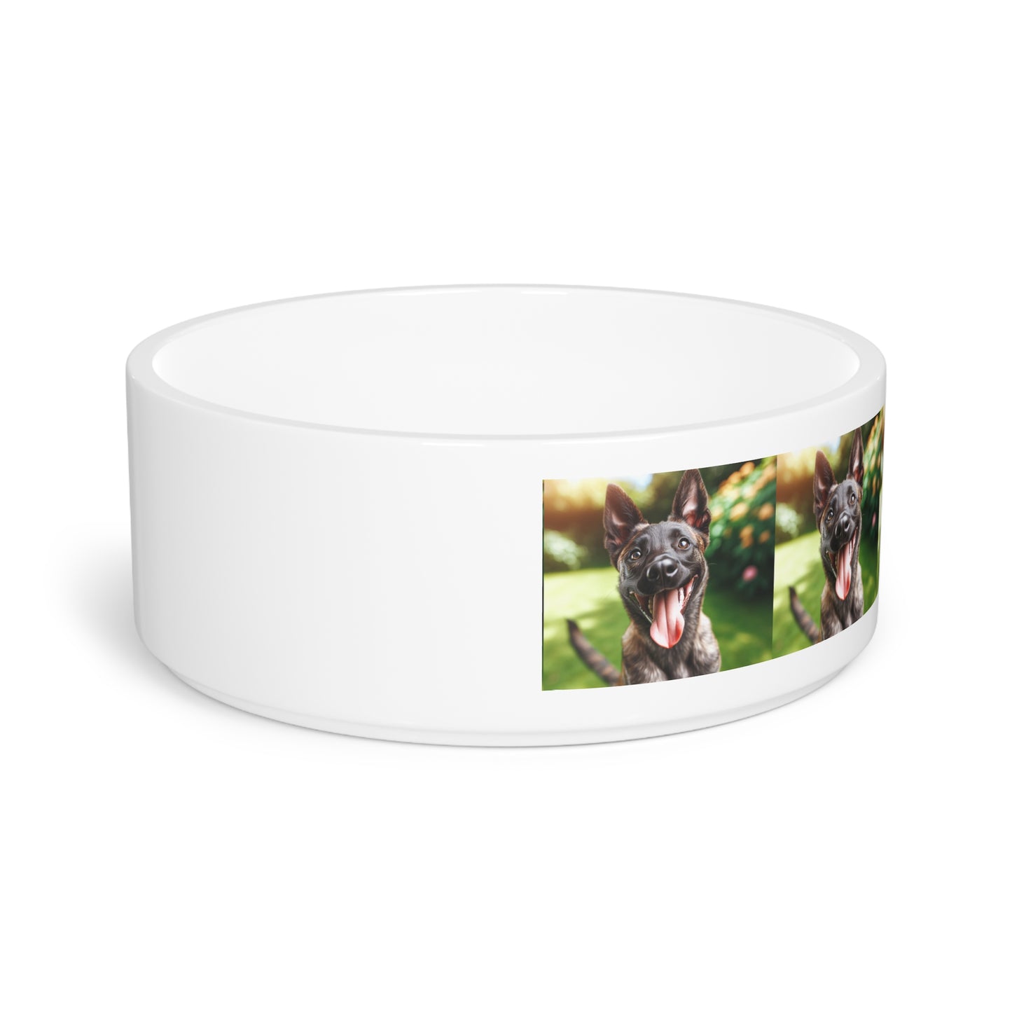 Dutch Shepherd Dog Pet Bowl