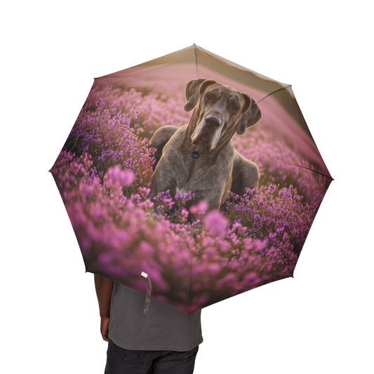 Great Dane Semi-Automatic Foldable Umbrella