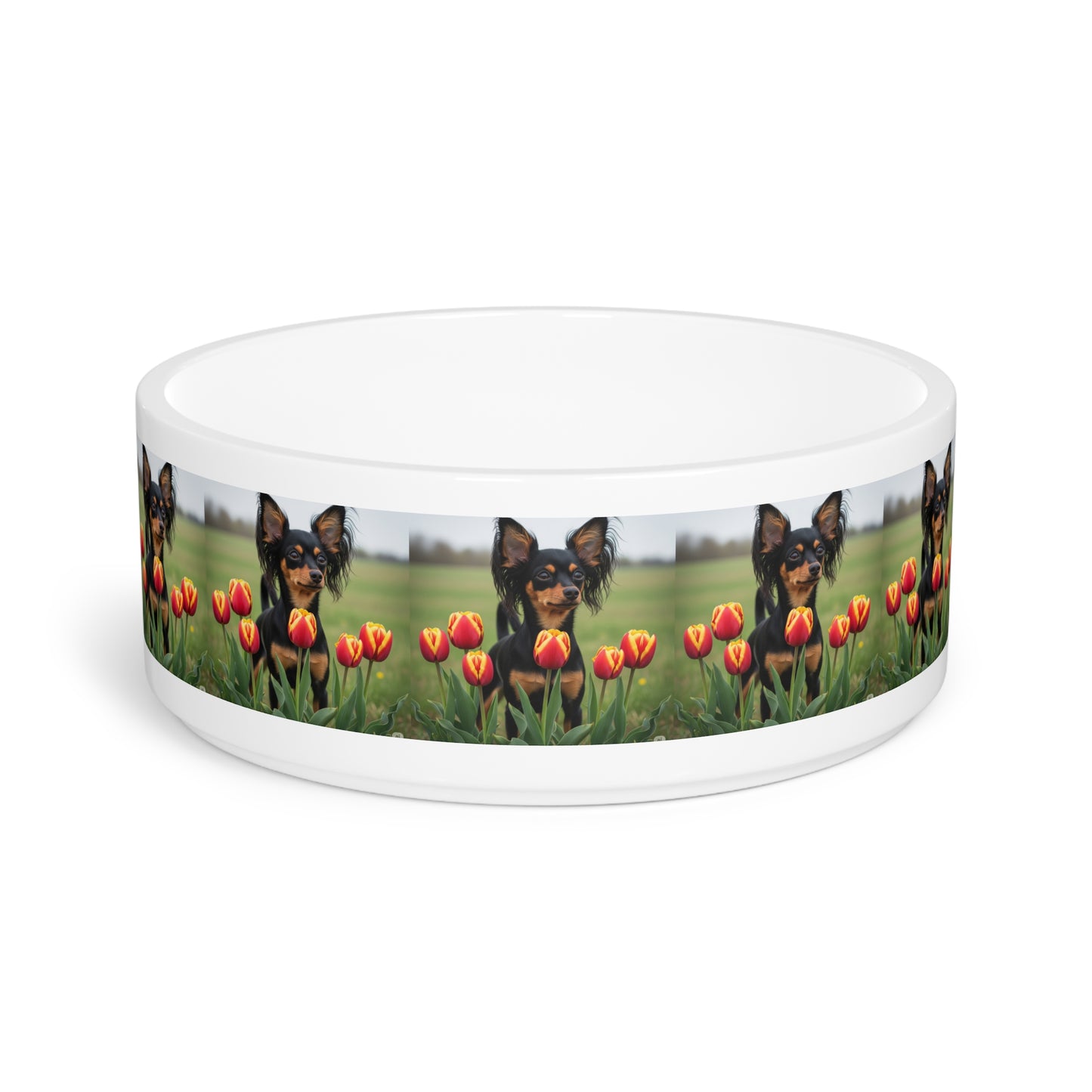 Gamelle russe pour animaux de compagnie