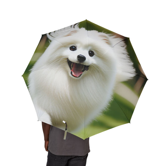 Japanese Spitz Semi-Automatic Foldable Umbrella