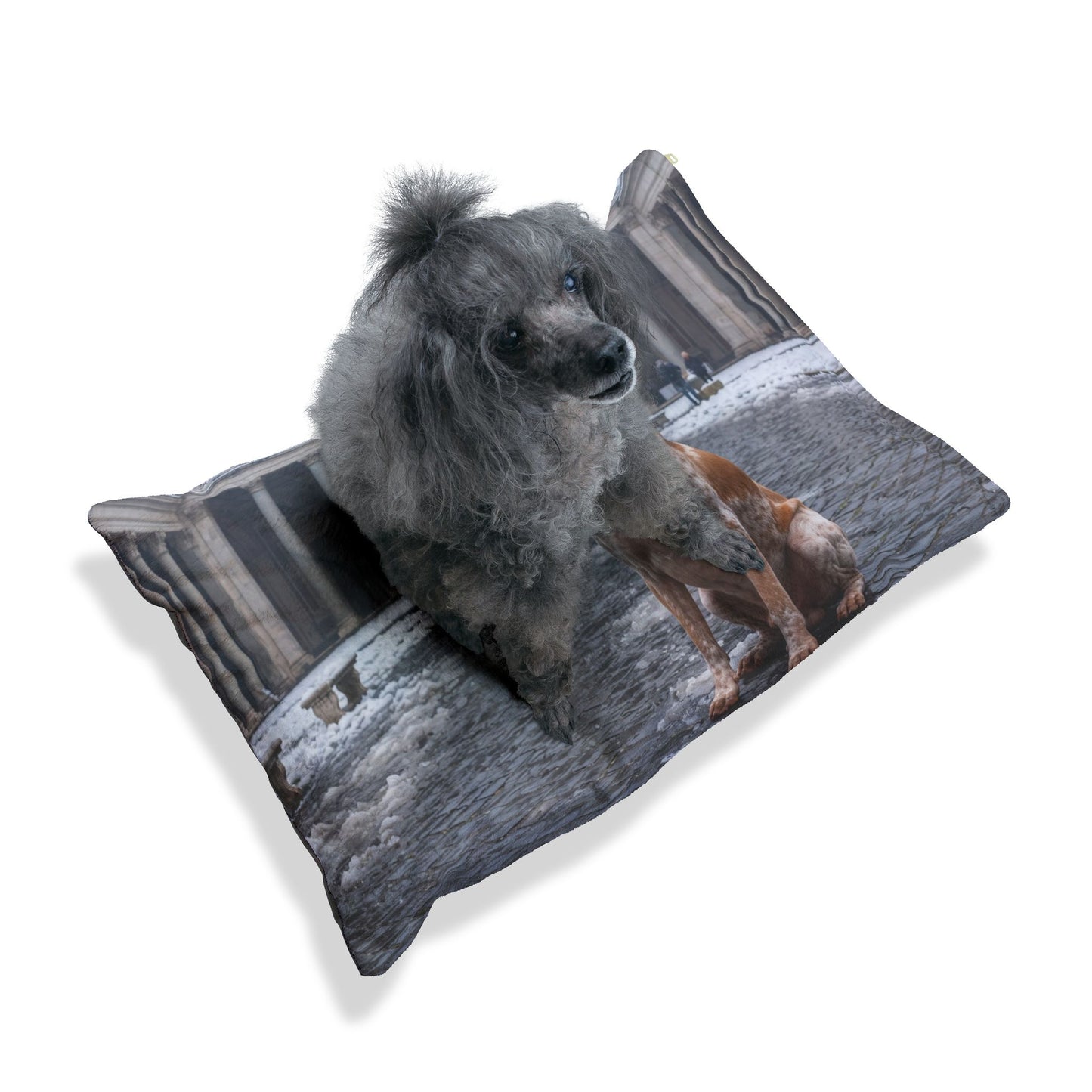 Bracco Italiano Pet Bed