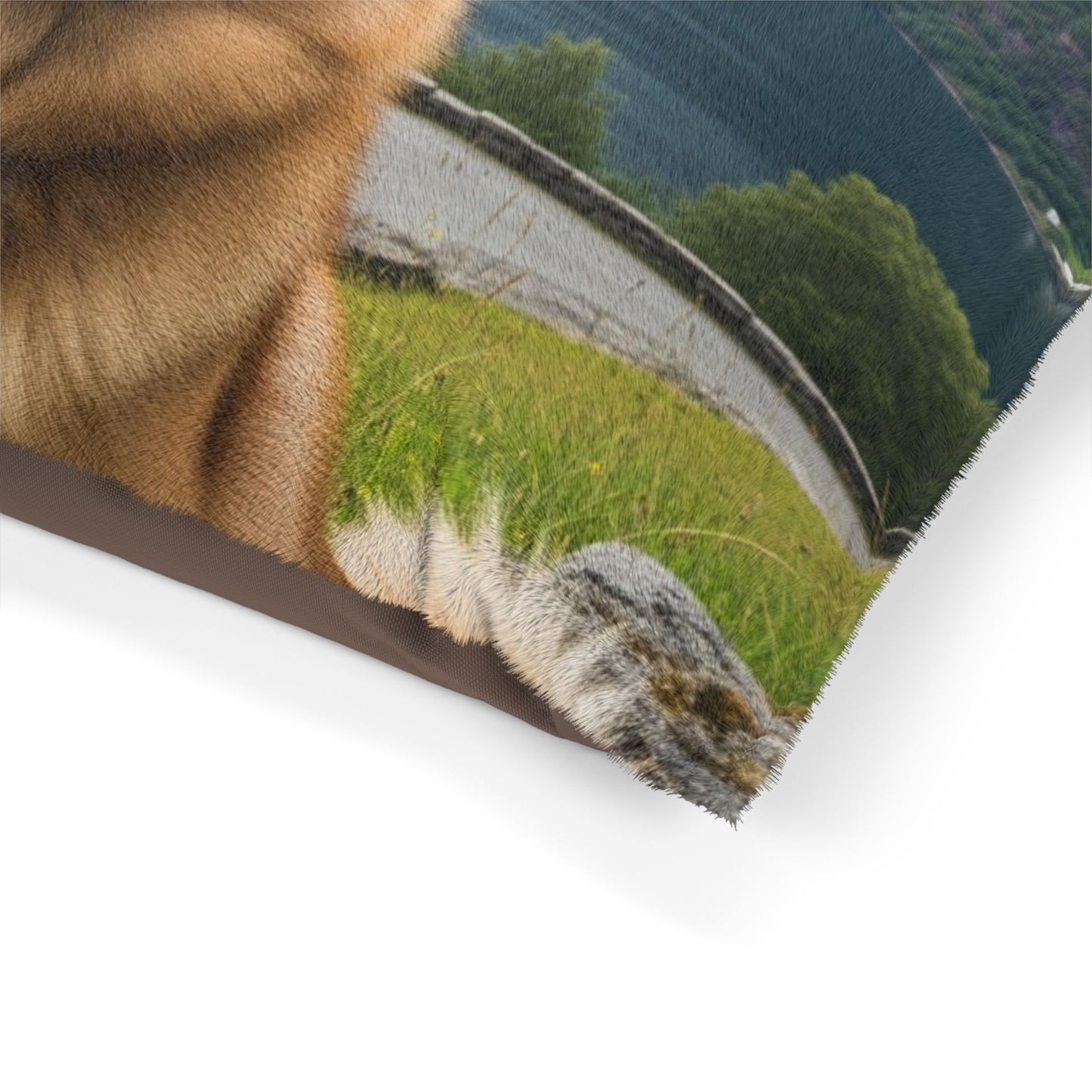 Norwegian Buhund Pet Bed