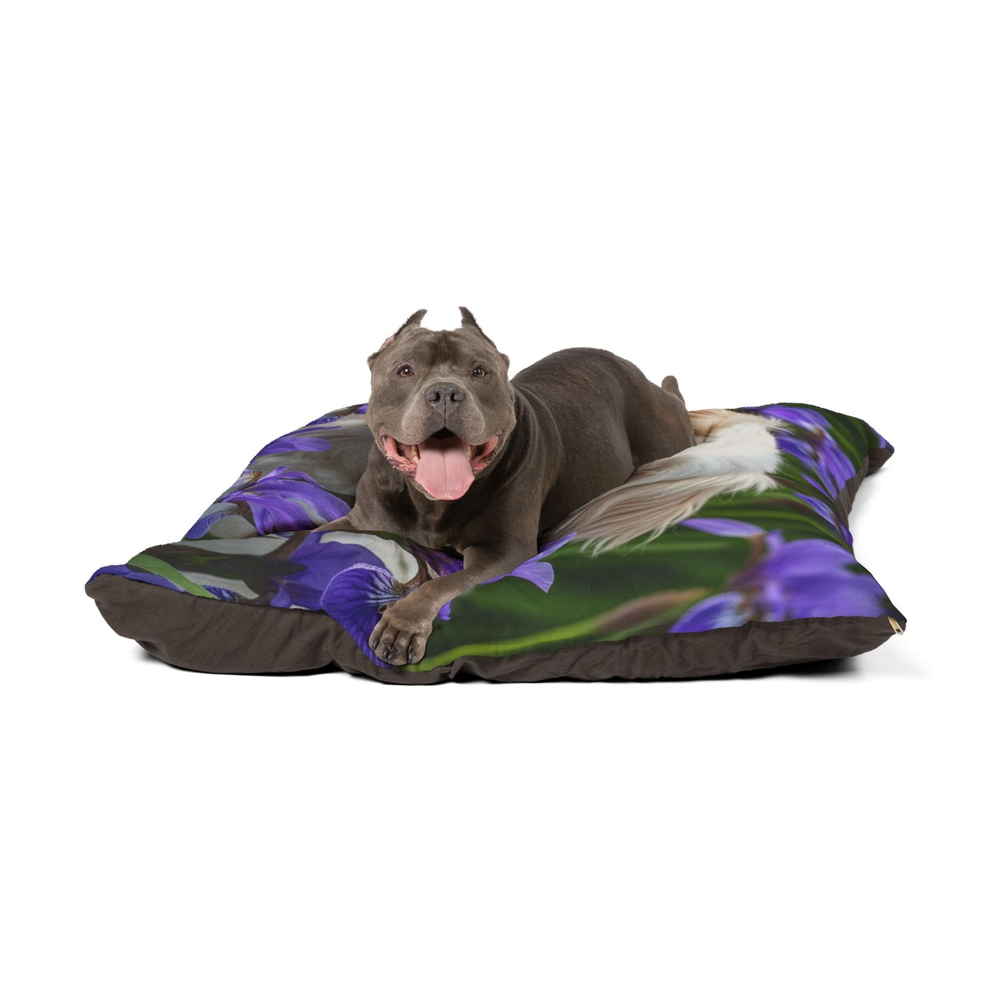 Cama para mascotas Shihchon