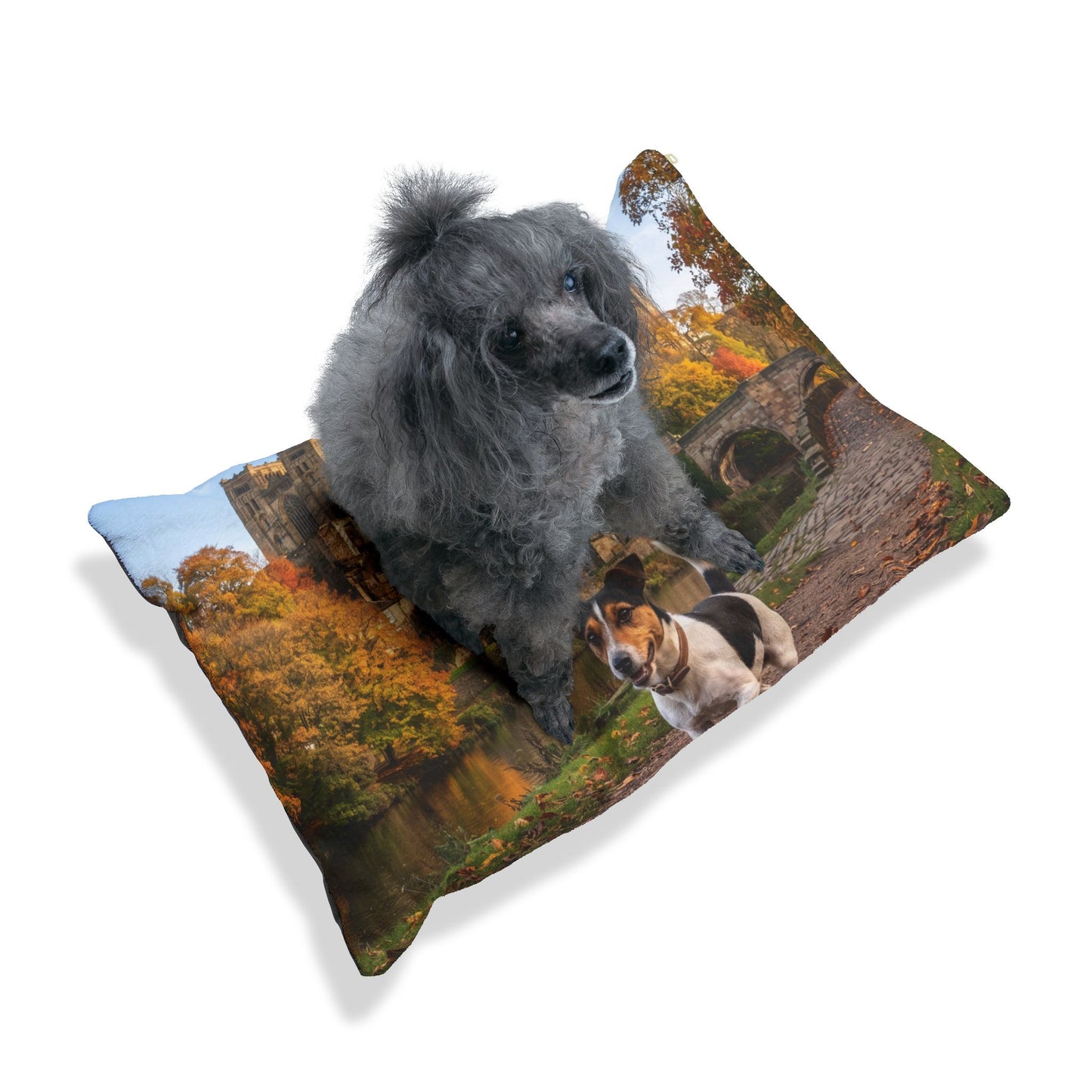 Jack Russell Terrier Pet Bed