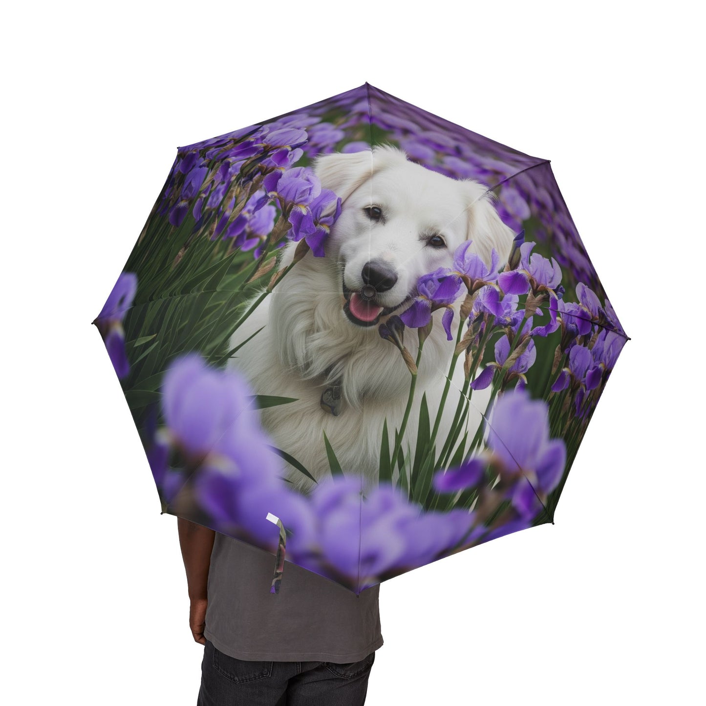 Parapluie pliant semi-automatique Chien de berger croate