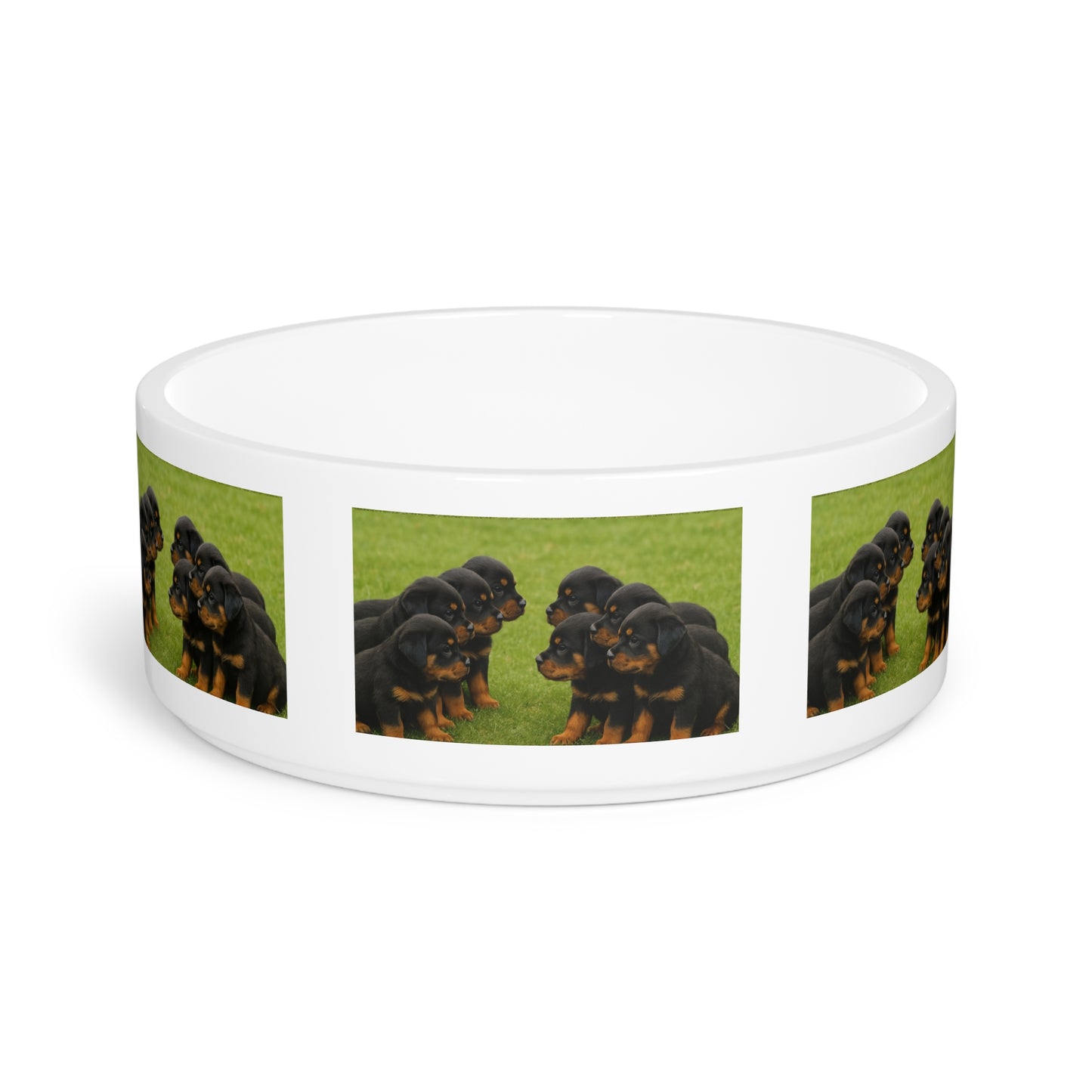 Chiots Rottweilers Gamelle pour animaux