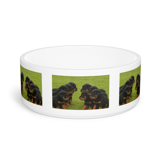 Rottweiler puppies Pet Bowl – Ceramic Dog Bowl