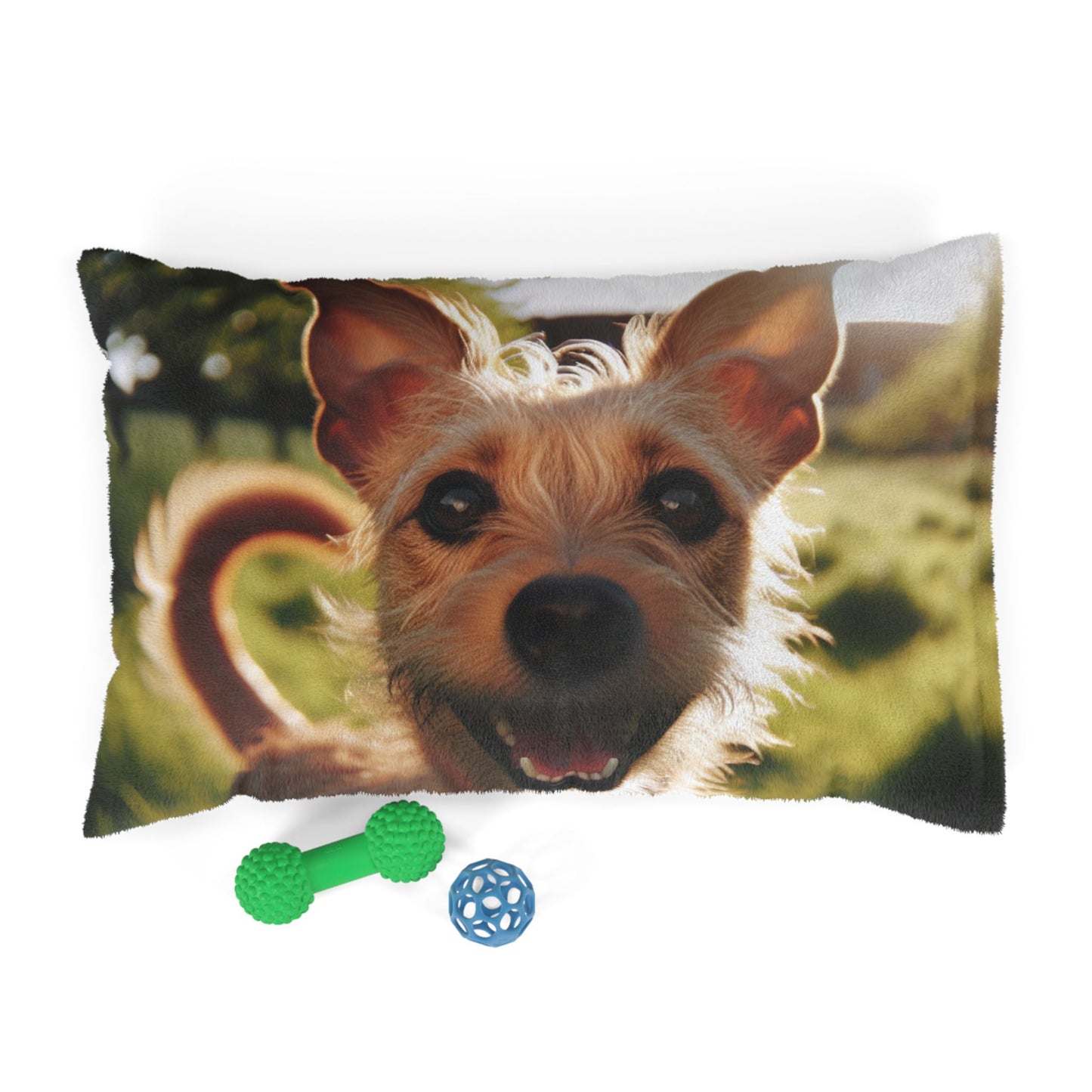 Portuguese Podengo Pet Bed