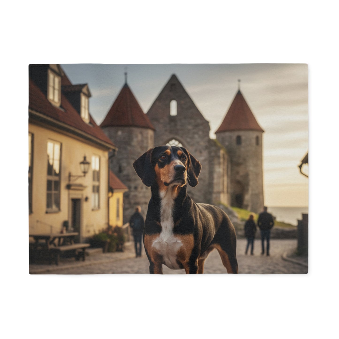 Hamiltonstövare Blanket
