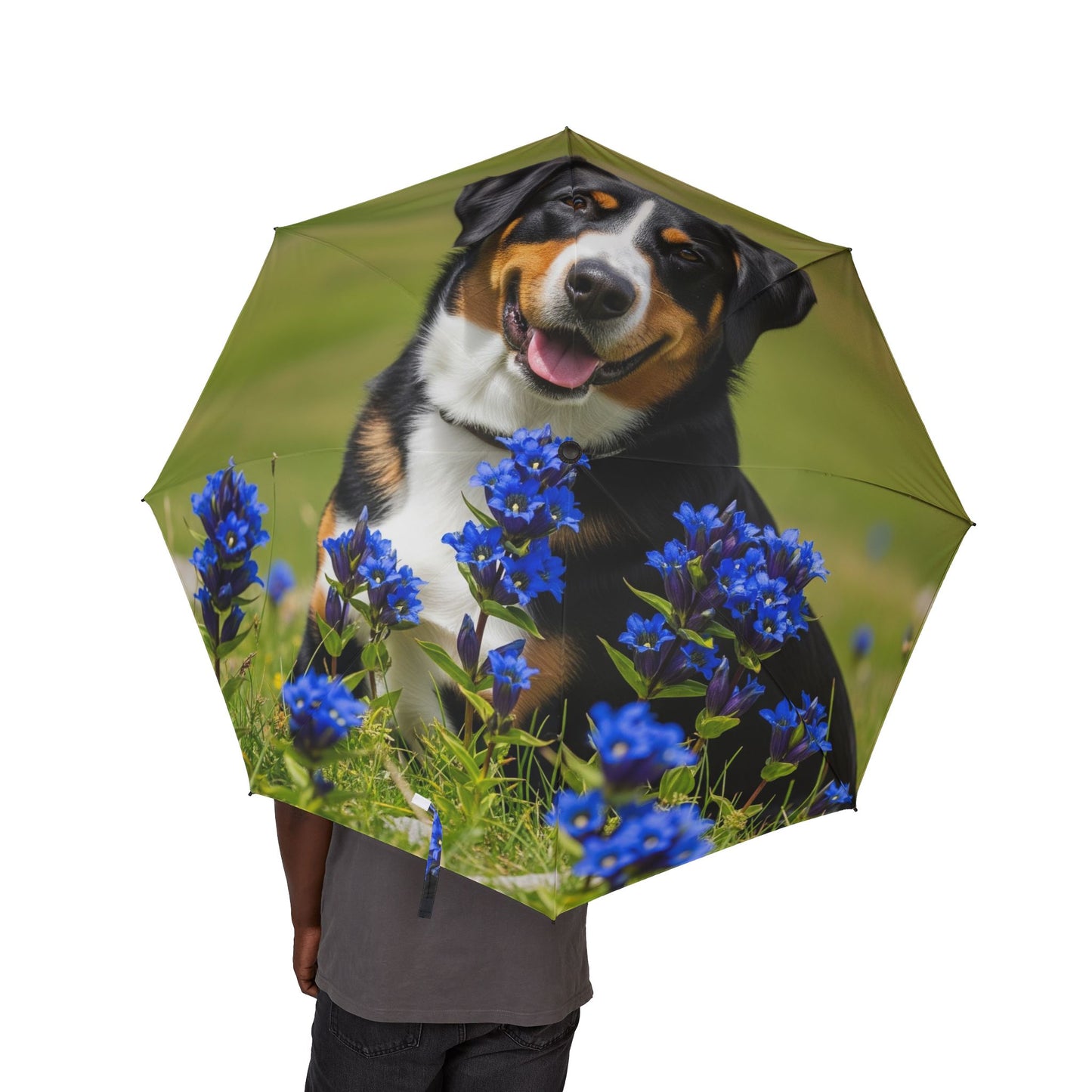 Appenzeller Sennenhund Semi-Automatic Foldable Umbrella