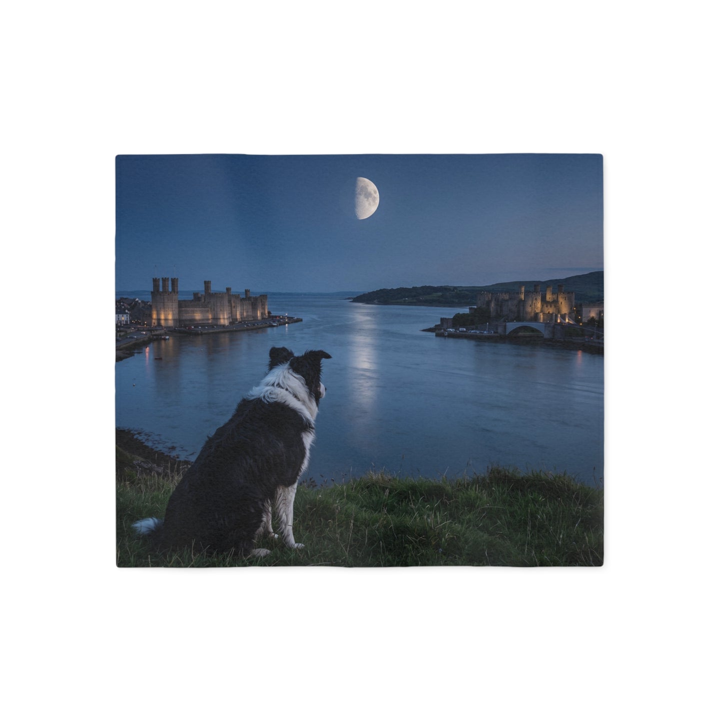 Welsh Sheepdog Blanket