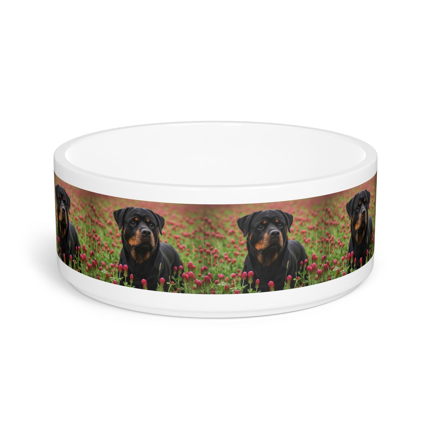 Ceramic Pet Bowl – 16 oz Dog Feeding Bowl