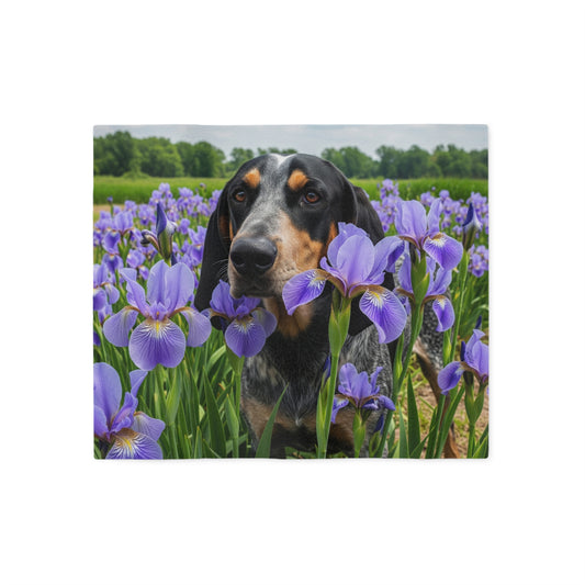 Bluetick Coonhound Sweatshirt Blanket