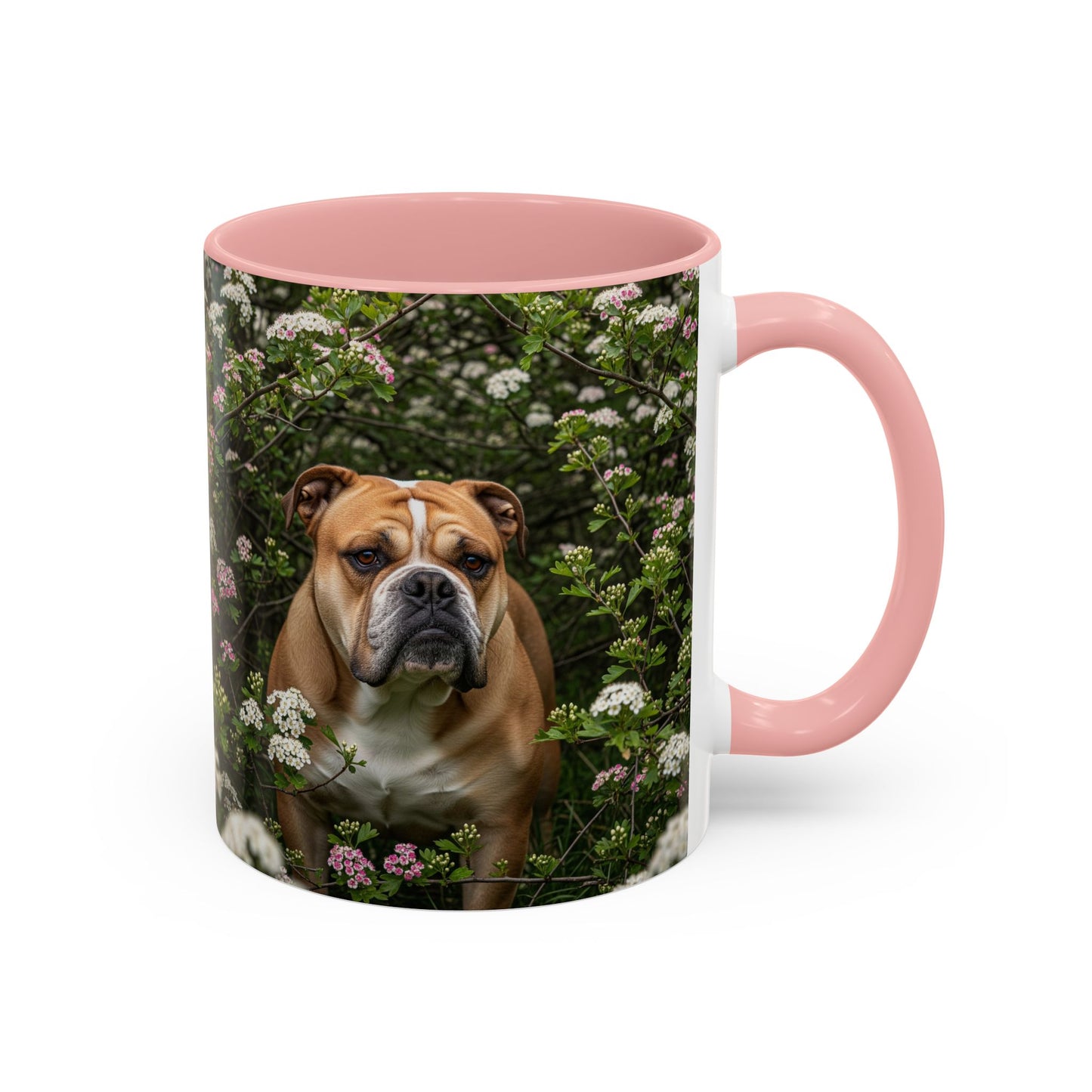 Mug à café Olde English Bulldogge Accent - Cadeau idéal pour les amoureux des chiens