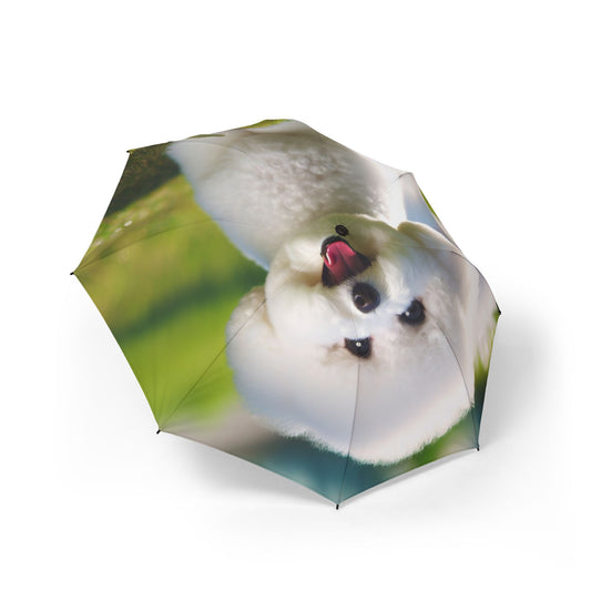 Bichon Frise Semi-Automatic Foldable Umbrella