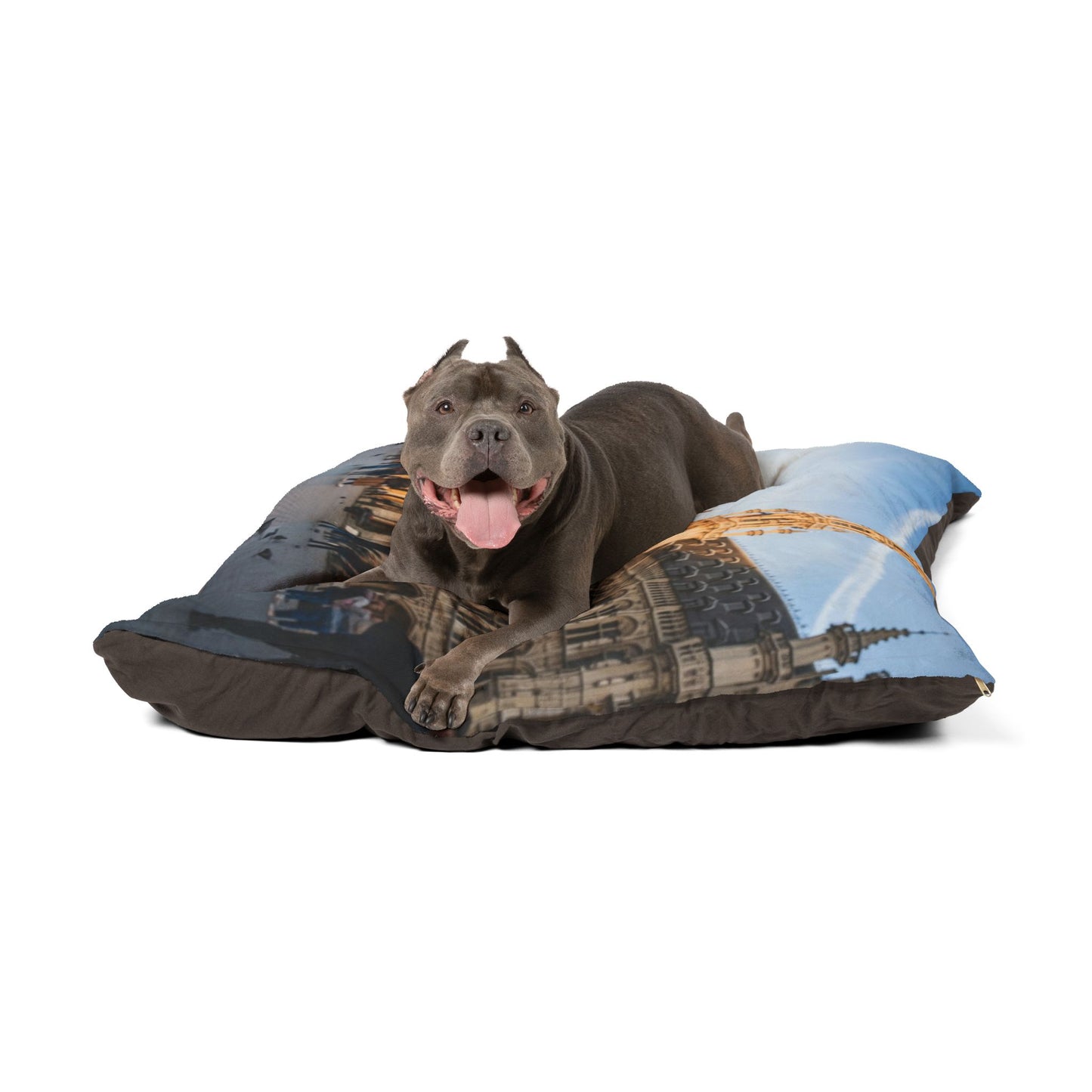 Bichon Frise Pet Bed