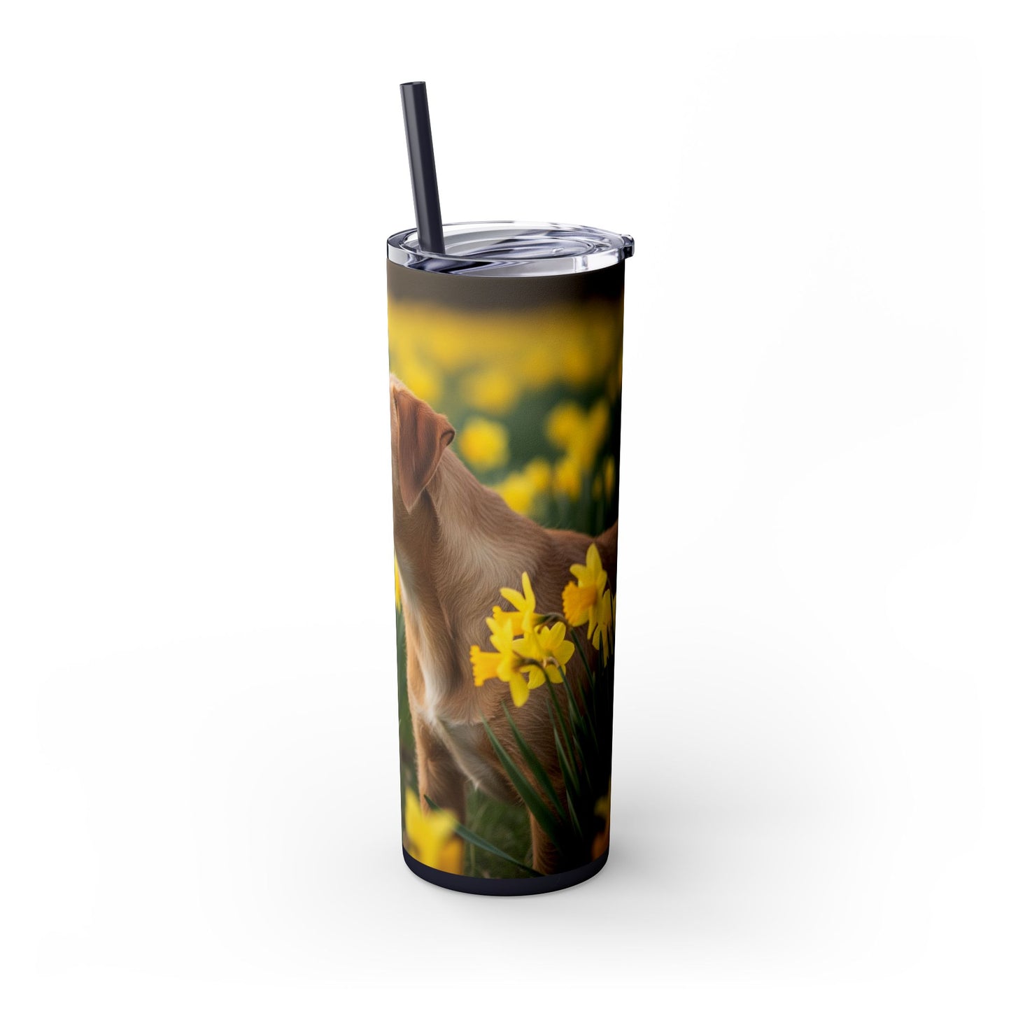 Portuguese Podengo Pequeno Skinny Tumbler with Straw, 20oz