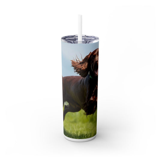 Irish Water Spaniel Tumbler with Straw, 20oz