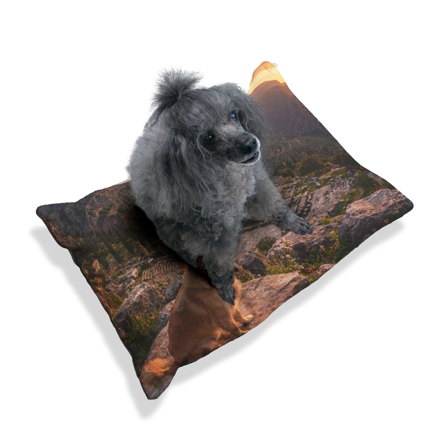 Kokoni Pet Bed