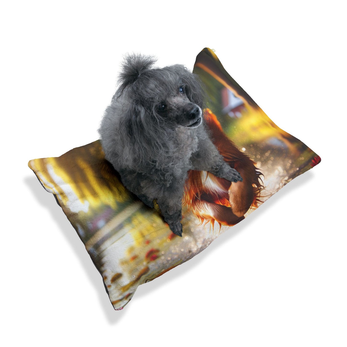 Nova Scotia Duck Trolling Retriever Pet Bed