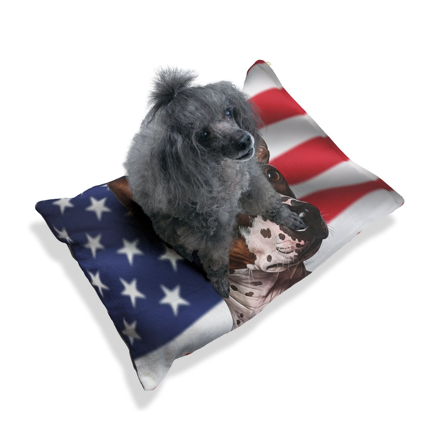 American Hairless Terrier Patriotic Pet Bed