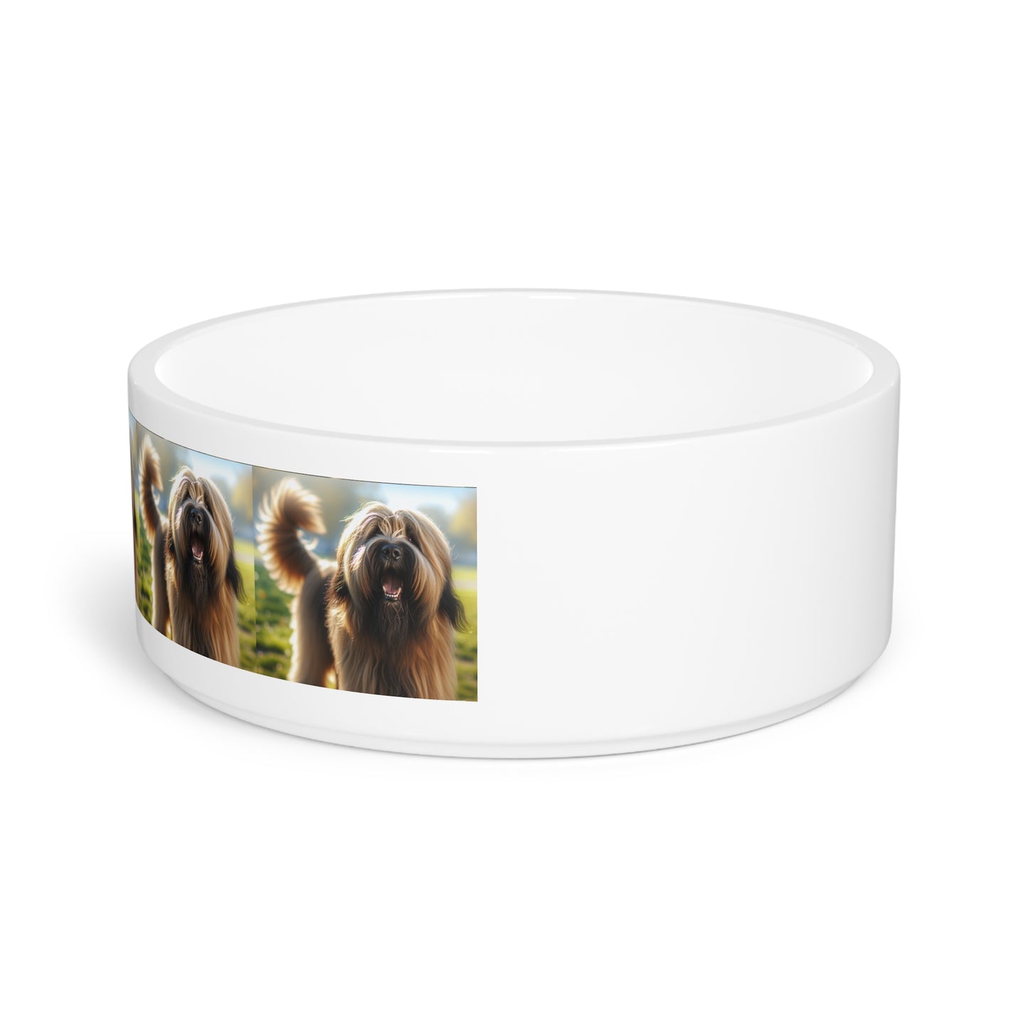 Briard Dog Pet Bowl