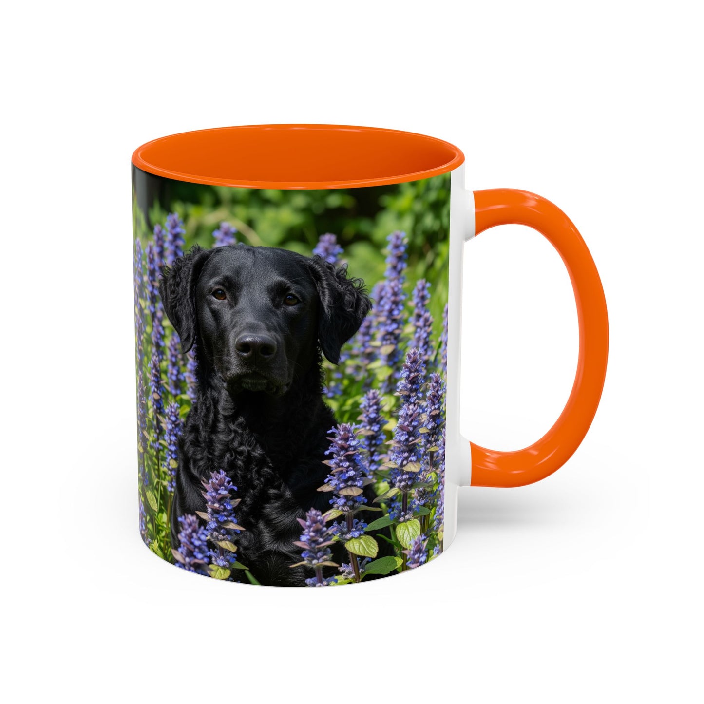 Curly Coated Retriever Accent Coffee Mug - Perfect Gift for Dog Lovers