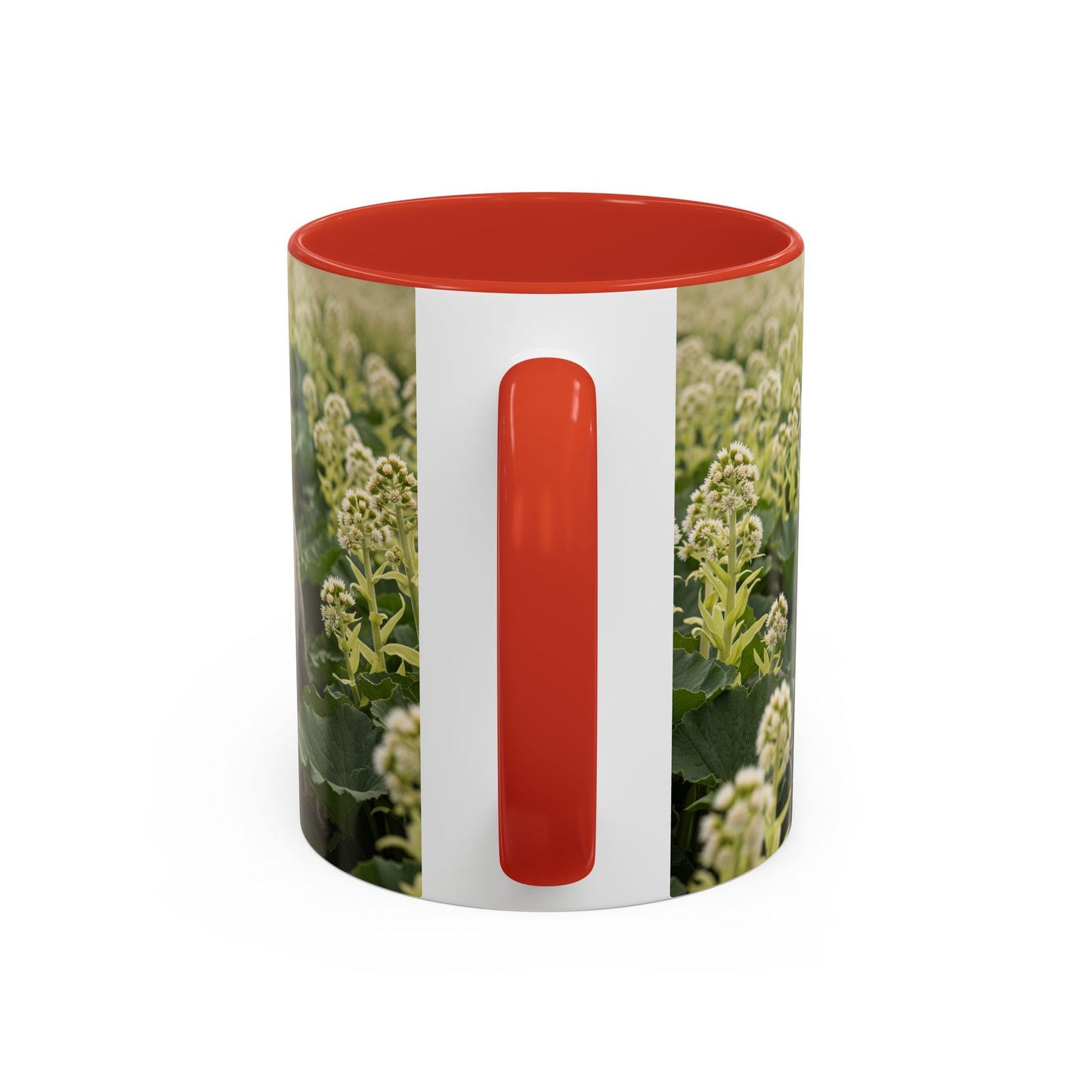 Mug à café avec motif Schnauzer standard - Cadeau idéal pour les amoureux des chiens