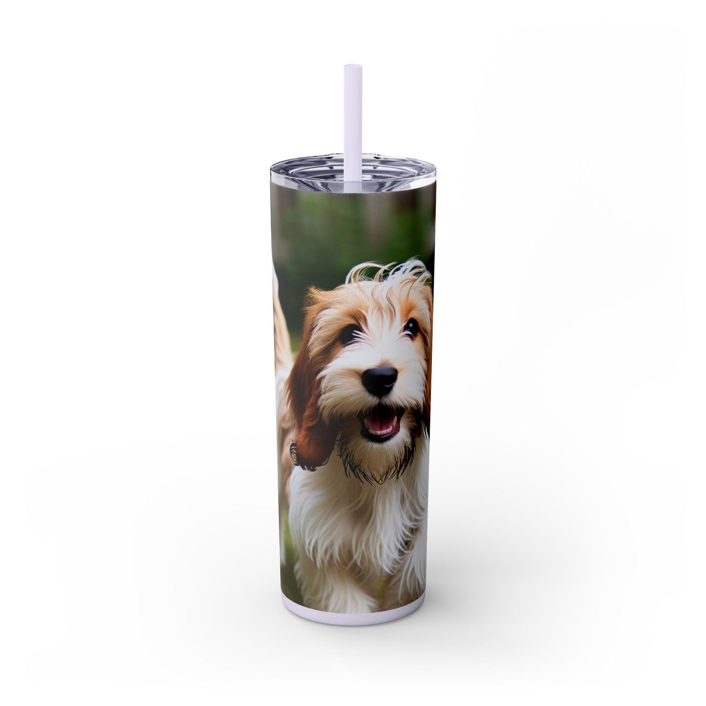 Petit Basset Griffon Vendeen Skinny Tumbler with Straw, 20oz