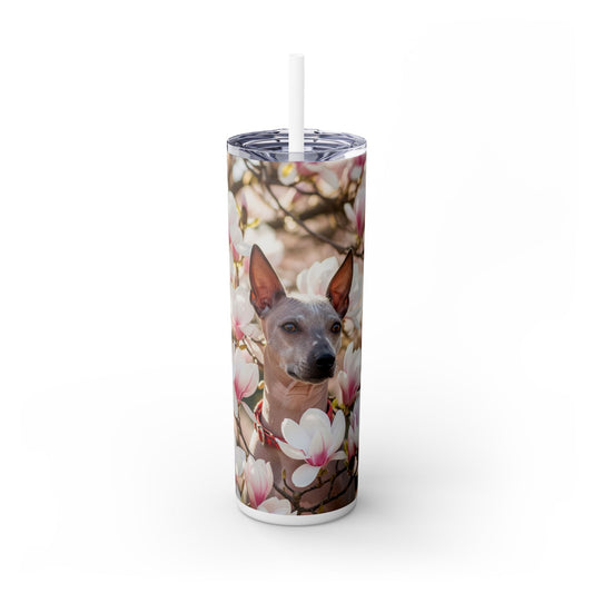 American Hairless Terrier Skinny Tumbler with Straw, 20oz