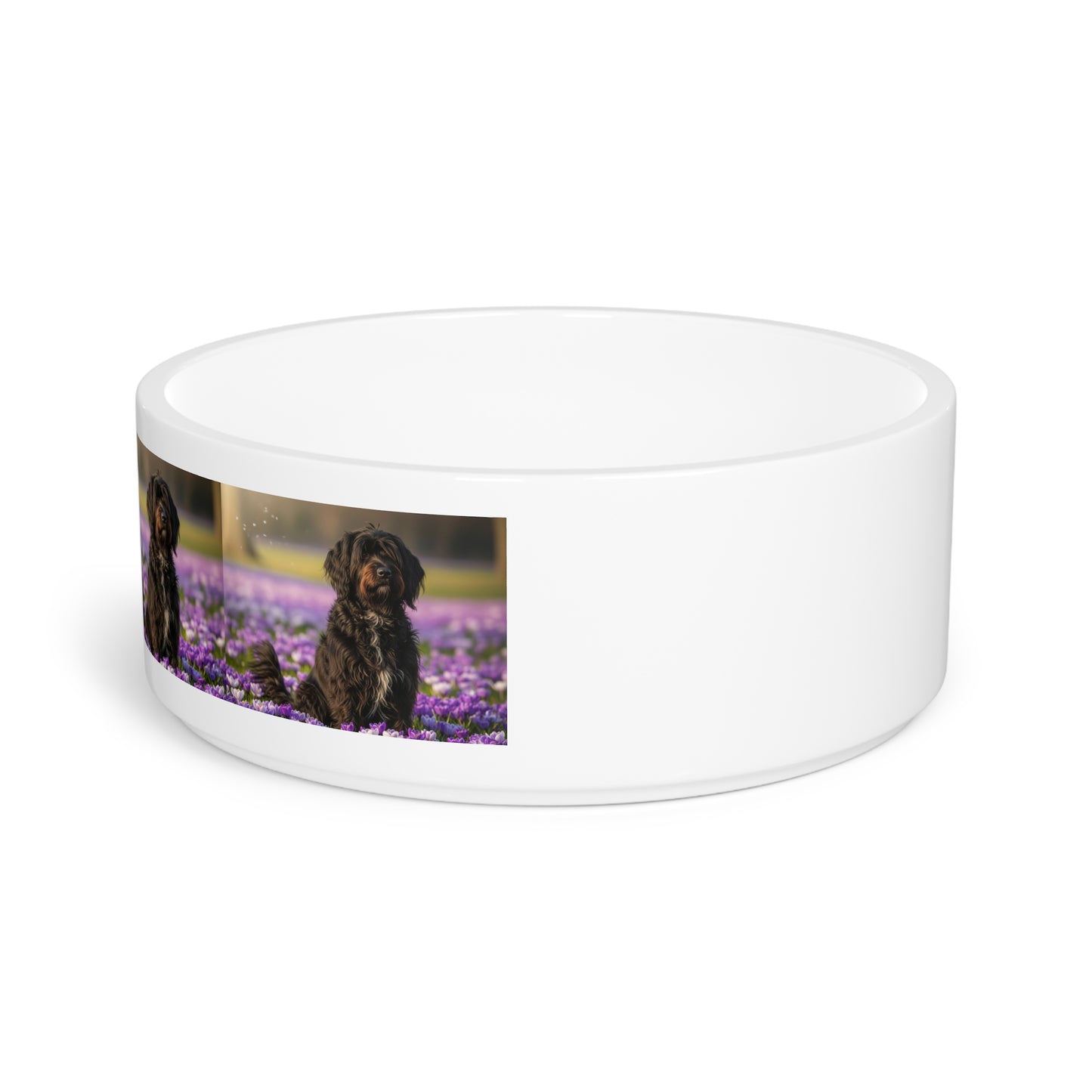 Gamelle pour animaux Schapendoes