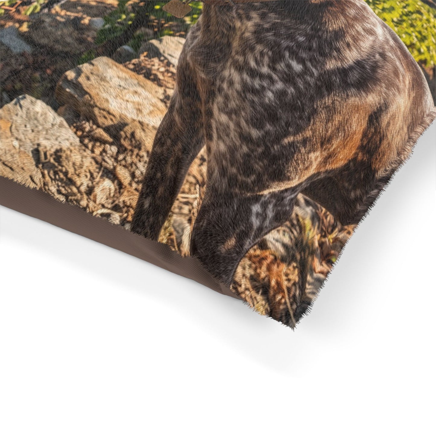 Portuguese Pointing Dog Pet Bed