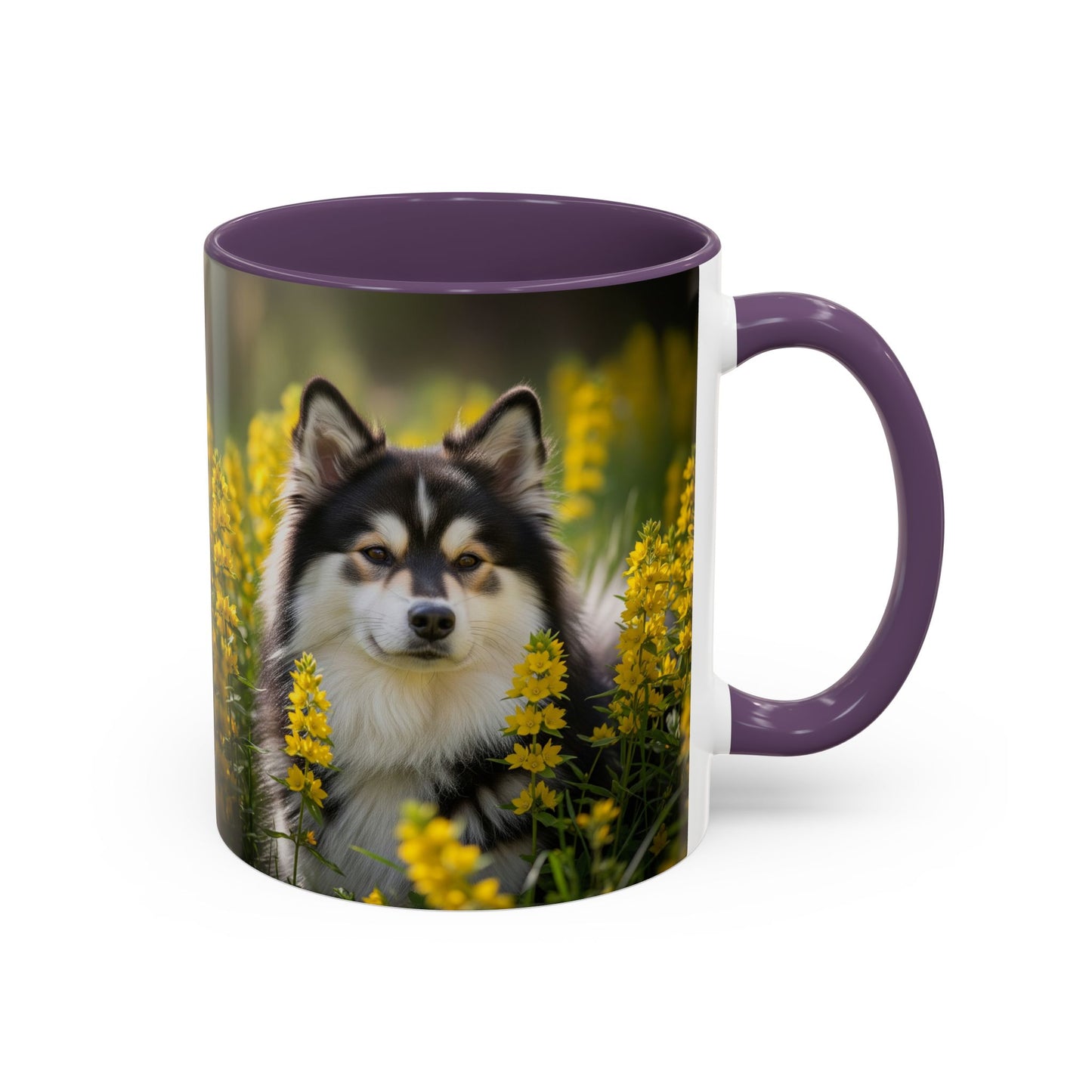 Taza con diseño de perro lapón sueco: el regalo perfecto para los amantes de los perros.