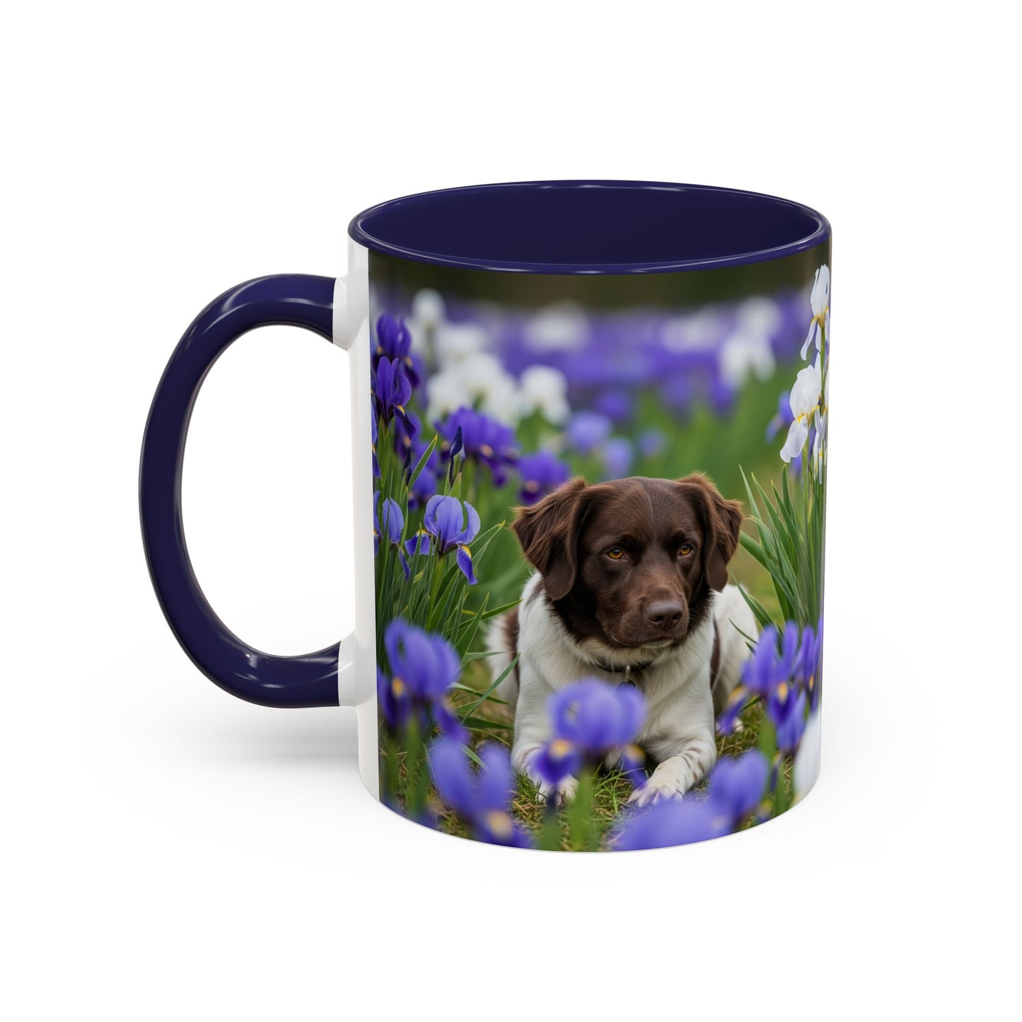 Mug Stabyhouns Accent - Cadeau idéal pour les amoureux des chiens