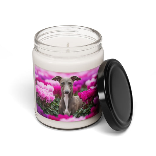 Italian Greyhound- Scented Soy Candle, 9oz