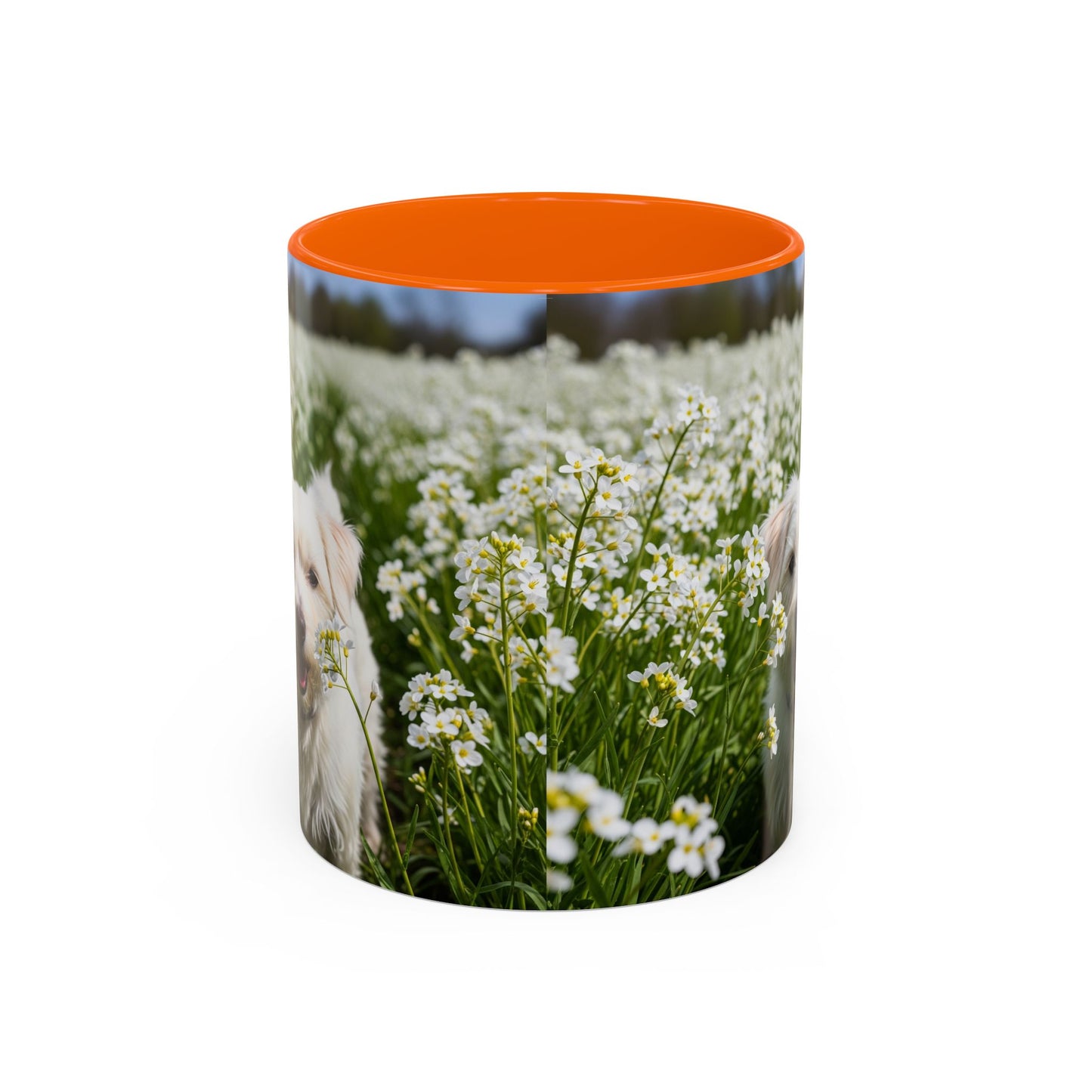 Taza de café con acento Kromfohrlander: el regalo perfecto para los amantes de los perros